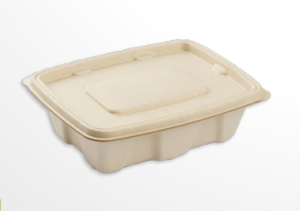 750 ML Lid Anti Leak Container